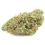 Шишки OG Kush  (Гидропоника, бошки) VHQ в Кингисеппе